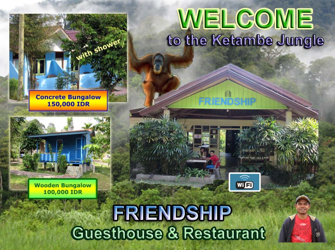 Friendship Guesthouse - Home