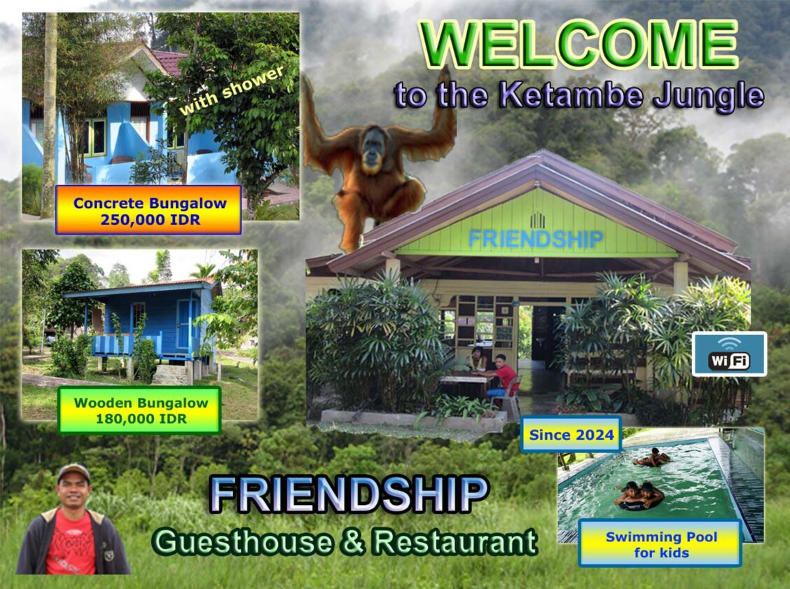 Welcome to the Jungle Friendship Guesthouse - Home