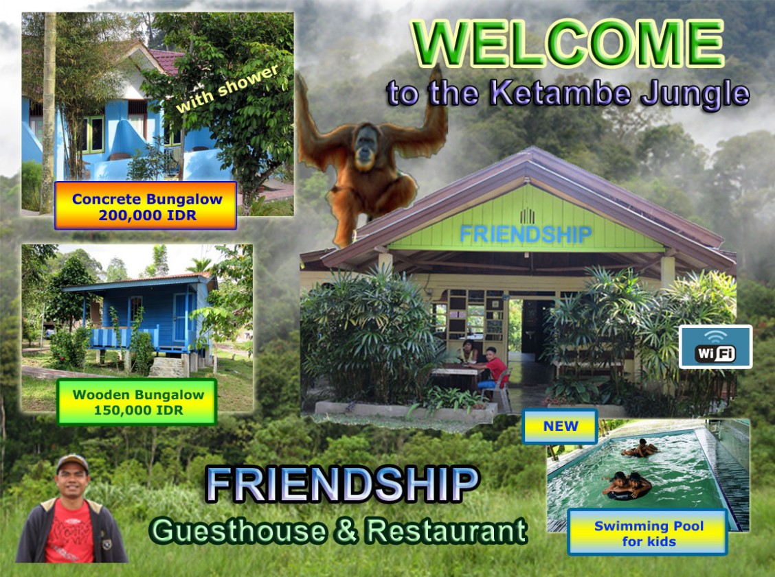 Friendship Guesthouse - Home